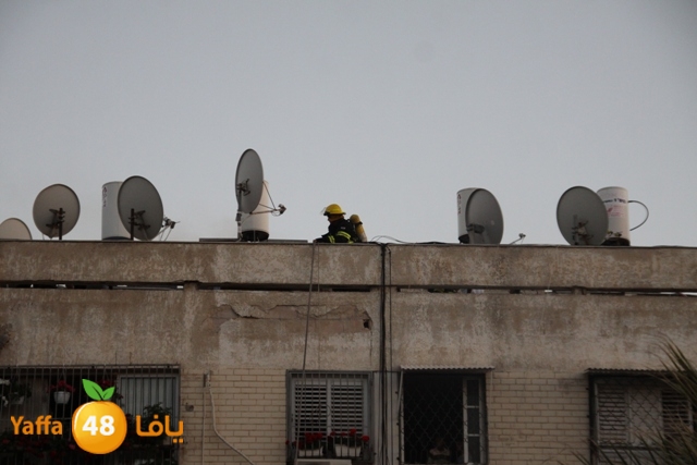 fireonroof324 (6).JPG